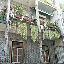 Portygaliia Lissabon �� ������� ���� ����������