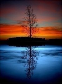       ,     .       ... - 5