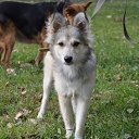 ���� Hell Girl, ���������, 31 ��� - ��������� 17 ������� 2014 � ������ ������ ��������