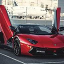 ���� �������, ���������, 41 ��� - ��������� 1 ������ 2014 � ������ ���� ����������