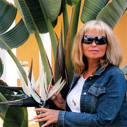 �����, ���������, 67 ���