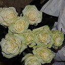 ���� ������ �, ���� - ��������� 27 ������� 2014 � ������ ������ ��������