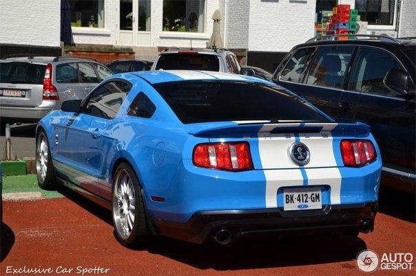 Shelby GT500, 2011. - 4