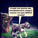 ���� ������, �����������, 48 ��� - ��������� 27 ������� 2014 � ������ ������ ��������