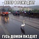 ���� ���, ������, 22 ���� - ��������� 13 ������� 2014 � ������ ���� ����������