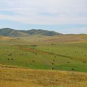 ���� ������, ������, 71 ��� - ��������� 15 �������� 2014 � ������ ��� ������