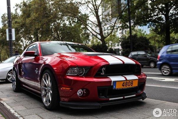 Shelby GT500 '2013 - 4