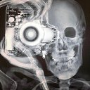 ���� �������, �������, 32 ���� - ��������� 6 �������� 2014 � ������ ������ ��������