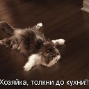 ���� ��������, ������, 58 ��� - ��������� 8 ������� 2014 � ������ ����������� ��������