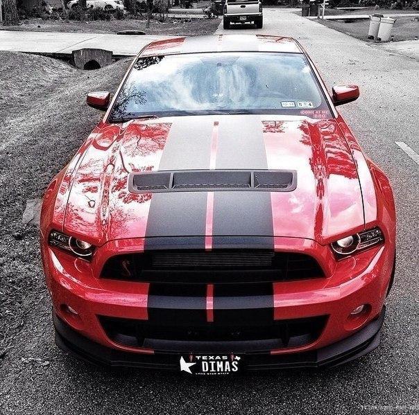 Shelby GT500. - 4