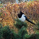 25 ������� 2014. ��������� ����. �����. �� ������� ������� ��������)))�