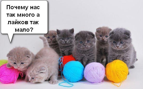 Art & Fun - 27  2014  21:55