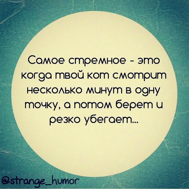 �������� ���� - 16 ������ 2014 � 03:45