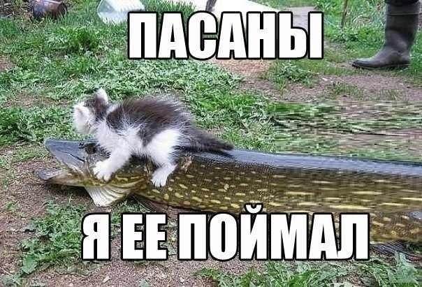 ����� ������� - 5 ������ 2014 � 10:50 - 2