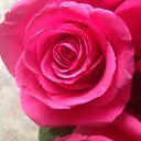 ���� �������, ������ - ��������� 22 ������ 2014 � ������ �����ۻ