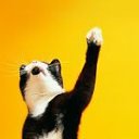 ���� Lenok, ������ - ��������� 11 ������� 2014