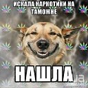 ���� Anxelika, ����� - ��������� 24 �������� 2014 � ������ ������ ��������
