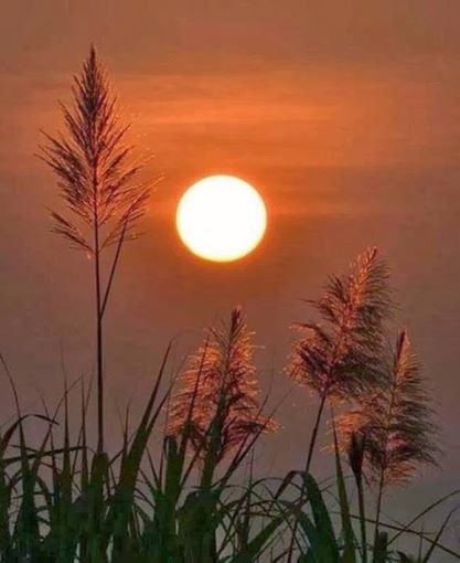 ������, � ���� ������, �� ������� ��������� ������. � ������ ������, ����� ������, �� ��������� ...