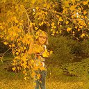 ���� �������, ��������, 44 ���� - ��������� 1 ������ 2014 � ������ ���� ����������