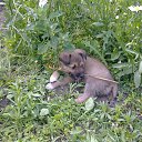 ���� �����, ��������, 47 ��� - ��������� 3 ������� 2014 � ������ ���� ����������