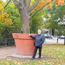 ���� �������, ������������ - ��������� 7 ������� 2014 � ������ �����������