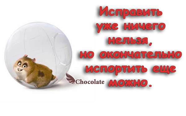 hocolate - 27  2014  21:02