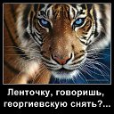 ���� ����, ������������ - ��������� 28 ������ 2014 � ������ ������ ��������
