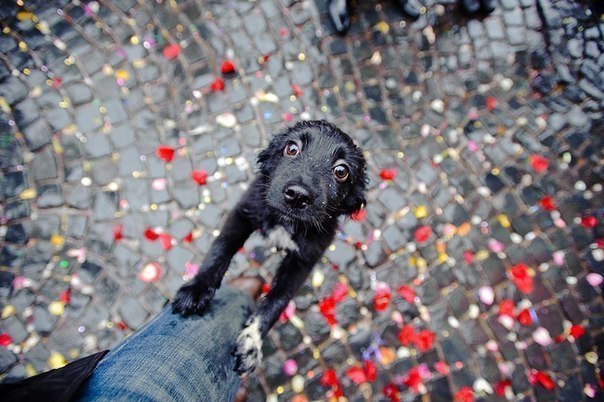 �� �������� ��������!