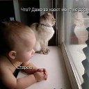 ���� �������, �����������, 61 ��� - ��������� 17 ������� 2014 � ������ ������ ��������