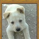 ���� ������, �����������, 63 ���� - ��������� 27 ������� 2014 � ������ ���� ����������