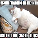 ���� �������, ����, 68 ��� - ��������� 1 ������ 2014 � ������ ���� ��������� ���� ���, ��������...�