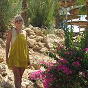 ���� ��������, ��������, 62 ���� - ��������� 15 �������� 2014