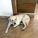 ���� ������, ����, 51 ��� - ��������� 26 ������� 2014 � ������ ������.������.2014 ������.�