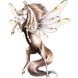 ���� �����, ������, 35 ��� - ��������� 26 ������ 2014