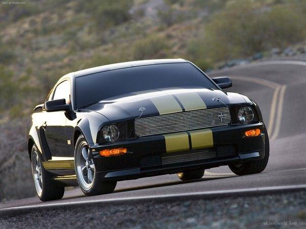 Ford Mustang Shelby GT-H - 3