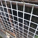 ���� ������, ���������� �����, 45 ��� - ��������� 19 ������ 2014 � ������ ���� ����������