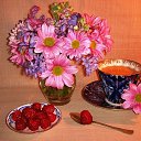 ���� M����, ����� - ��������� 30 ������� 2014 � ������ ������ ��������