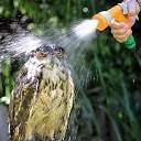 ��������-������������ ������ ������ � ���� �������! �� ������� ������ ��������