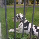  , , 46  -  5  2014   RoadKing