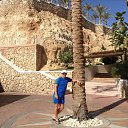  , , 55  -  9  2014    2014