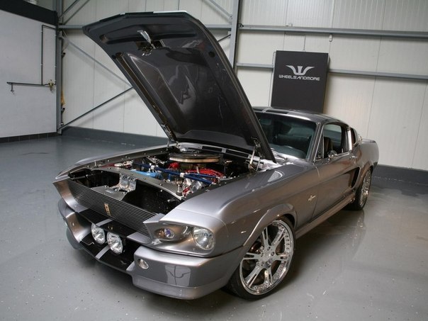 Ford Mustang GT500 Shelby Eleanor    60-.,      ... - 2