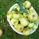 ��������� �������..���� �� ������������? �� ������� ������� ������� ���� �����...�