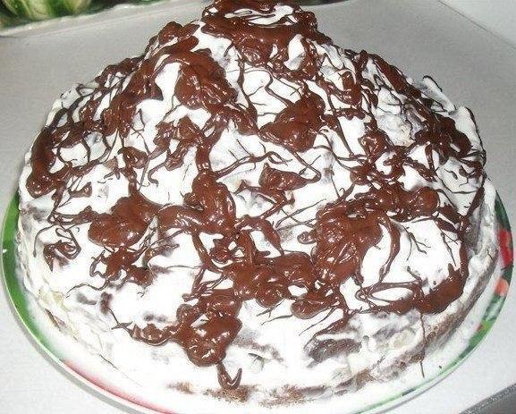 Очень вкусный тортик.Ингредиенты:Для теста:• Яйца 2 шт.• Сметана 1 ст.• Сахар 1 ст.• Мука 2 ст.• ...