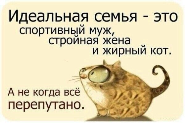       - 6  2014  17:33
