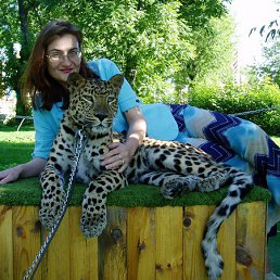 �����, ��������, 51 ���