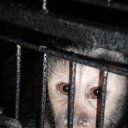 ���� ���������, ��������� - ��������� 23 �������� 2014 � ������ �������