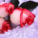 ���� �����, ���, 64 ���� - ��������� 5 ������� 2014 � ������ ���� ���������