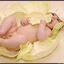 ���� ������ �����, ������ - ��������� 22 ������� 2014 � ������ ������ ��������