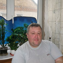 ���������, ��������������, 54 ����