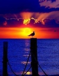       ,     .       ... - 6